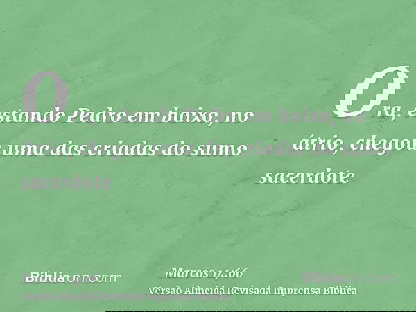 Ora, estando Pedro em baixo, no átrio, chegou uma das criadas do sumo sacerdote