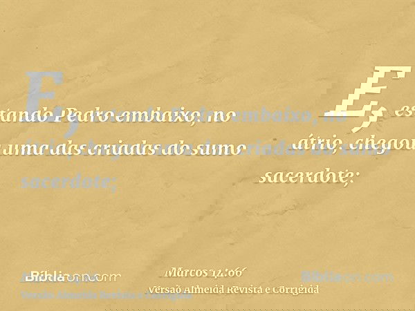 E, estando Pedro embaixo, no átrio, chegou uma das criadas do sumo sacerdote;