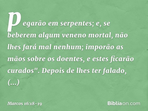 pegarão em serpentes; e, se beberem algum veneno mortal, não lhes fará mal nenhum; imporão as mãos sobre os doentes, e estes ficarão curados". Depois de lhes te