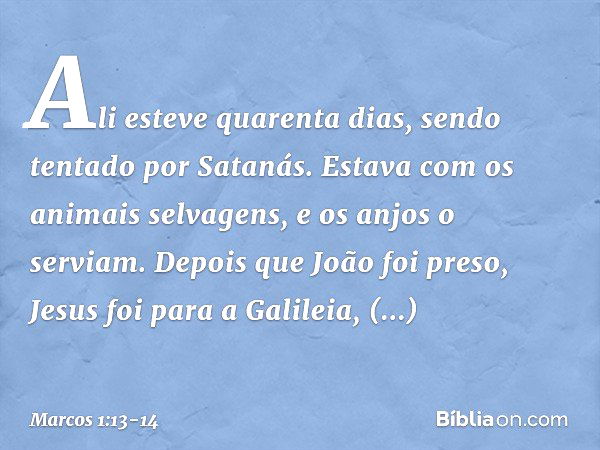 Ali esteve quarenta dias, sendo tentado por Satanás. Estava com os animais selvagens, e os anjos o serviam. Depois que João foi preso, Jesus foi para a Galileia