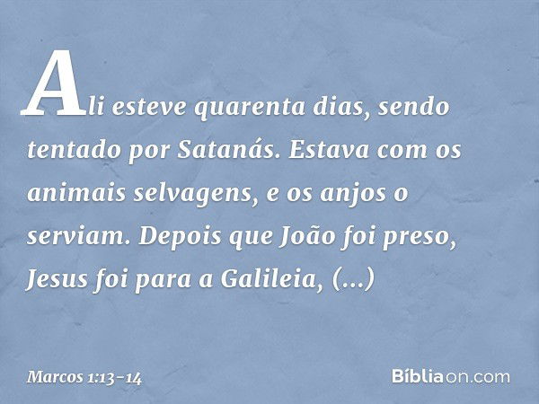 Ali esteve quarenta dias, sendo tentado por Satanás. Estava com os animais selvagens, e os anjos o serviam. Depois que João foi preso, Jesus foi para a Galileia