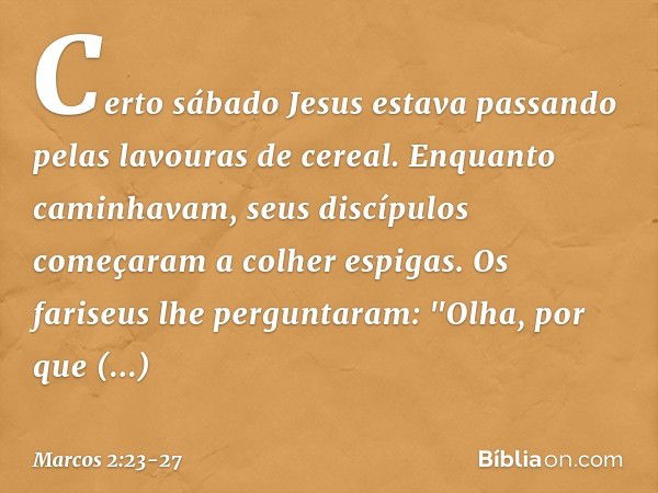 Certo sábado Jesus estava passando pelas lavouras de cereal. Enquanto caminhavam, seus discípulos começaram a colher espigas. Os fariseus lhe perguntaram: "Olha