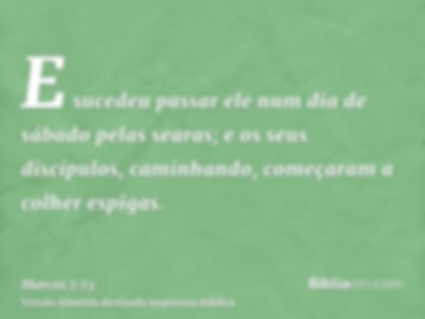 E sucedeu passar ele num dia de sábado pelas searas; e os seus discípulos, caminhando, começaram a colher espigas.