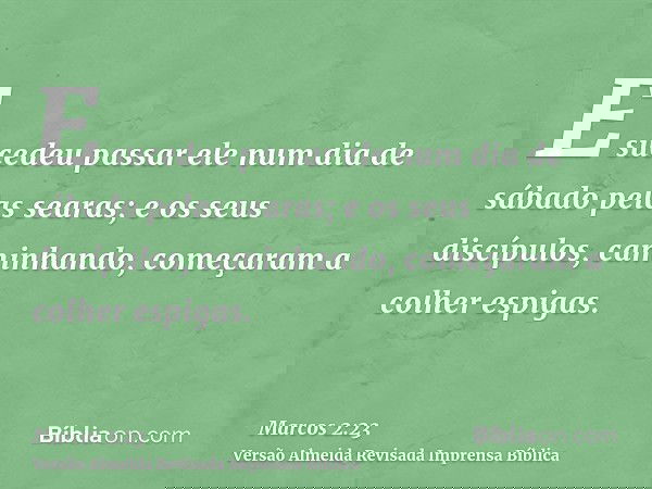 E sucedeu passar ele num dia de sábado pelas searas; e os seus discípulos, caminhando, começaram a colher espigas.