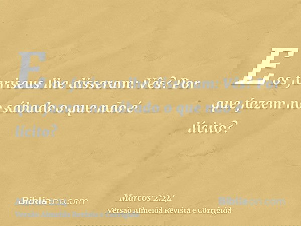E os fariseus lhe disseram: Vês? Por que fazem no sábado o que não é lícito?