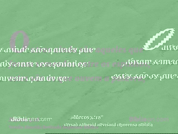 Outros ainda são aqueles que foram semeados entre os espinhos; estes são os que ouvem a palavra;