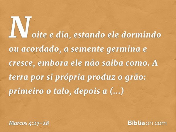 Noite e dia, estando ele dormindo ou acordado, a semente germina e cresce, embora ele não saiba como. A terra por si própria produz o grão: primeiro o talo, dep