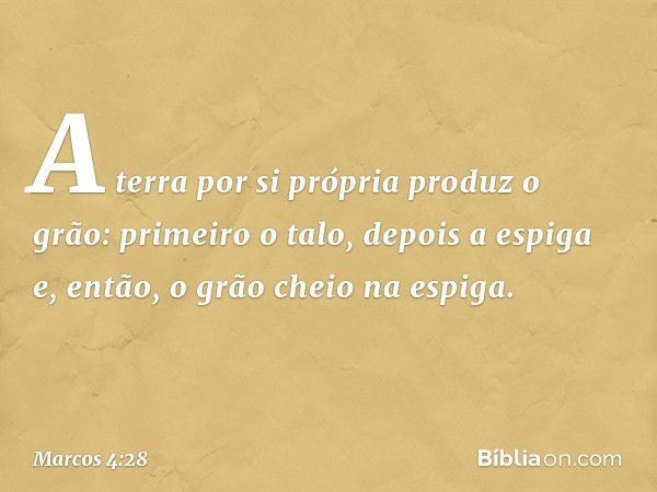 A terra por si própria produz o grão: primeiro o talo, depois a espiga e, então, o grão cheio na espiga. -- Marcos 4:28