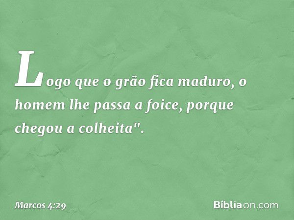 Logo que o grão fica maduro, o homem lhe passa a foice, porque chegou a colheita". -- Marcos 4:29