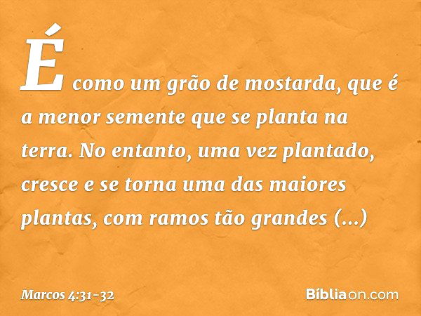 É como um grão de mostarda, que é a menor semente que se planta na terra. No entanto, uma vez plantado, cresce e se torna uma das maiores plantas, com ramos tão