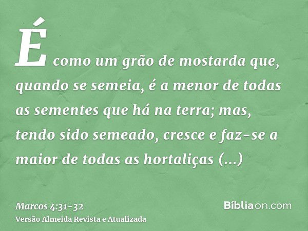 É como um grão de mostarda que, quando se semeia, é a menor de todas as sementes que há na terra;mas, tendo sido semeado, cresce e faz-se a maior de todas as ho