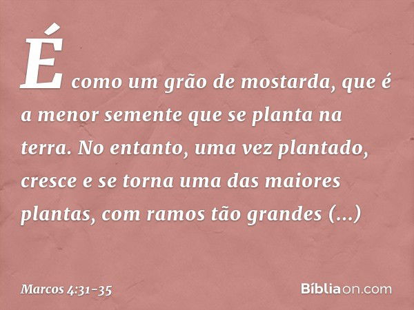 É como um grão de mostarda, que é a menor semente que se planta na terra. No entanto, uma vez plantado, cresce e se torna uma das maiores plantas, com ramos tão