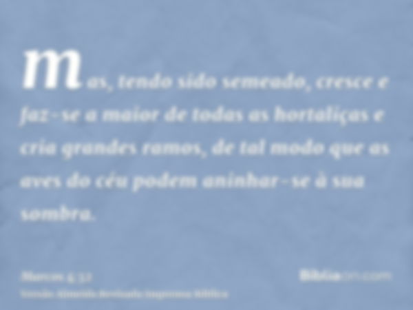 mas, tendo sido semeado, cresce e faz-se a maior de todas as hortaliças e cria grandes ramos, de tal modo que as aves do céu podem aninhar-se à sua sombra.