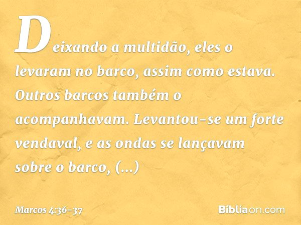 Deixando a multidão, eles o levaram no barco, assim como estava. Outros barcos também o acompanhavam. Levantou-se um forte vendaval, e as ondas se lançavam sobr