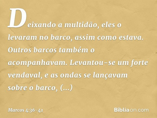 Deixando a multidão, eles o levaram no barco, assim como estava. Outros barcos também o acompanhavam. Levantou-se um forte vendaval, e as ondas se lançavam sobr