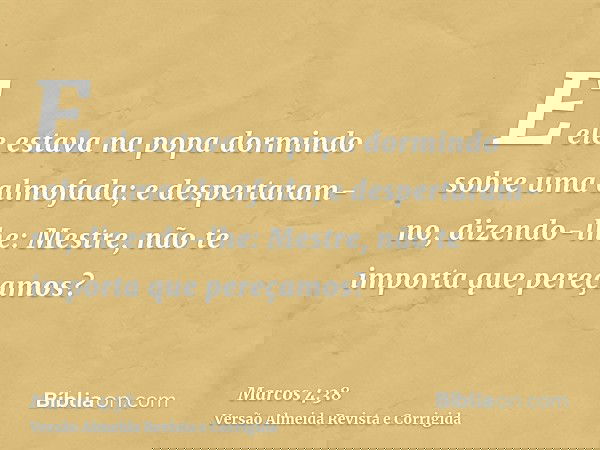 E ele estava na popa dormindo sobre uma almofada; e despertaram-no, dizendo-lhe: Mestre, não te importa que pereçamos?