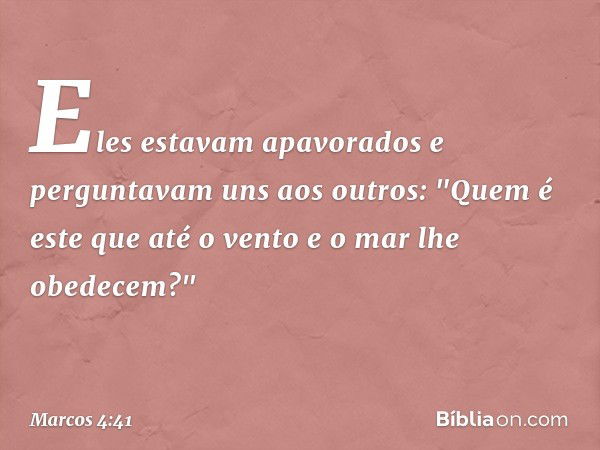 Eles estavam apavorados e perguntavam uns aos outros: "Quem é este que até o vento e o mar lhe obedecem?" -- Marcos 4:41