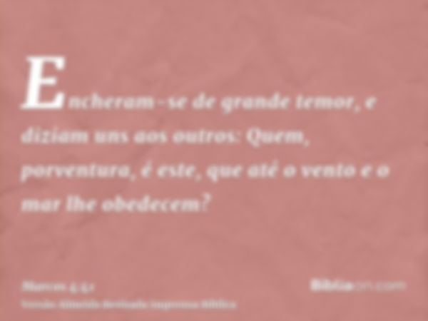 Encheram-se de grande temor, e diziam uns aos outros: Quem, porventura, é este, que até o vento e o mar lhe obedecem?