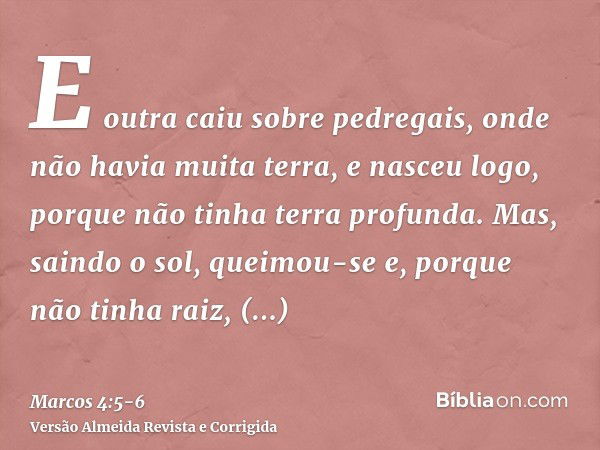 E outra caiu sobre pedregais, onde não havia muita terra, e nasceu logo, porque não tinha terra profunda.Mas, saindo o sol, queimou-se e, porque não tinha raiz,