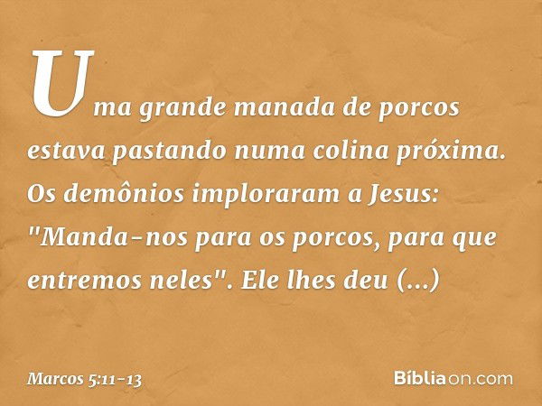 Uma grande manada de porcos estava pastando numa colina próxima. Os demônios imploraram a Jesus: "Manda-nos para os porcos, para que entremos neles". Ele lhes d