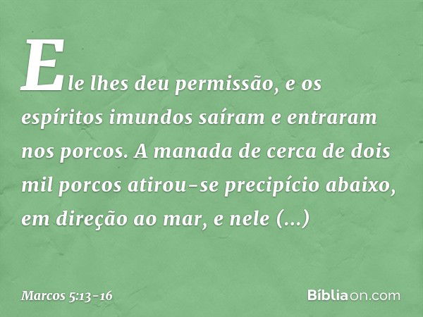 Ele lhes deu permissão, e os espíritos imundos saíram e entraram nos porcos. A manada de cerca de dois mil porcos atirou-se precipício abaixo, em direção ao mar