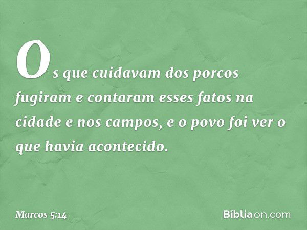 Os que cuidavam dos porcos fugiram e contaram esses fatos na cidade e nos campos, e o povo foi ver o que havia acontecido. -- Marcos 5:14