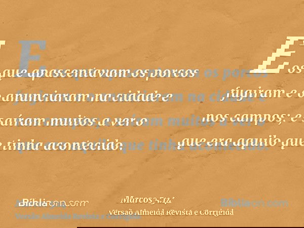 E os que apascentavam os porcos fugiram e o anunciaram na cidade e nos campos; e saíram muitos a ver o que era aquilo que tinha acontecido.