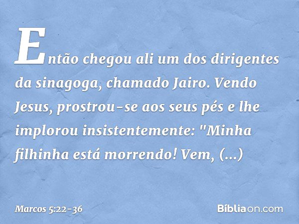 Então chegou ali um dos dirigentes da sinagoga, chamado Jairo. Vendo Jesus, prostrou-se aos seus pés e lhe implorou insistentemente: "Minha filhinha está morren