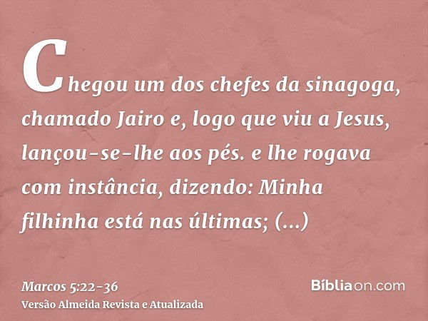 Chegou um dos chefes da sinagoga, chamado Jairo e, logo que viu a Jesus, lançou-se-lhe aos pés.e lhe rogava com instância, dizendo: Minha filhinha está nas últi