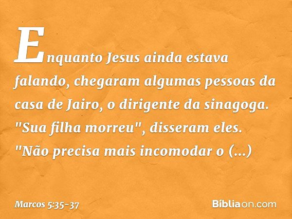 Enquanto Jesus ainda estava falando, chegaram algumas pessoas da casa de Jairo, o dirigente da sinagoga. "Sua filha morreu", disseram eles. "Não precisa mais in