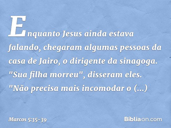 Enquanto Jesus ainda estava falando, chegaram algumas pessoas da casa de Jairo, o dirigente da sinagoga. "Sua filha morreu", disseram eles. "Não precisa mais in