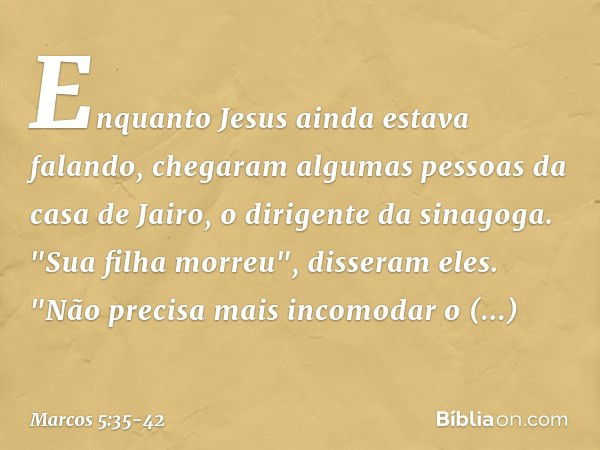 Enquanto Jesus ainda estava falando, chegaram algumas pessoas da casa de Jairo, o dirigente da sinagoga. "Sua filha morreu", disseram eles. "Não precisa mais in