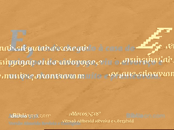 E, tendo chegado à casa do principal da sinagoga, viu o alvoroço e os que choravam muito e pranteavam.