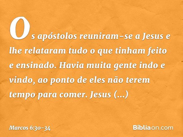 Os apóstolos reuniram-se a Jesus e lhe relataram tudo o que tinham feito e ensinado. Havia muita gente indo e vindo, ao ponto de eles não terem tempo para comer