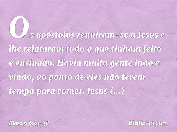 Os apóstolos reuniram-se a Jesus e lhe relataram tudo o que tinham feito e ensinado. Havia muita gente indo e vindo, ao ponto de eles não terem tempo para comer