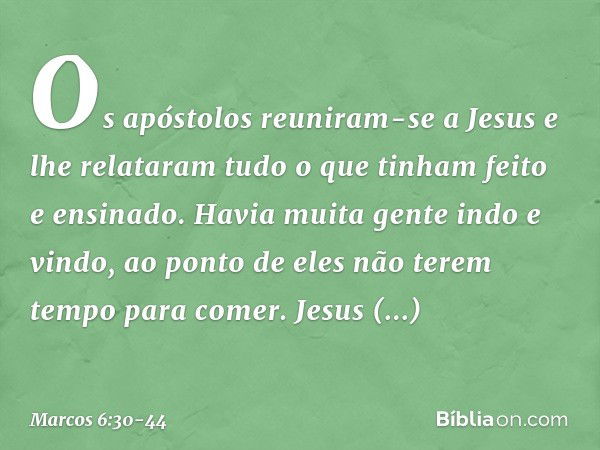 Os apóstolos reuniram-se a Jesus e lhe relataram tudo o que tinham feito e ensinado. Havia muita gente indo e vindo, ao ponto de eles não terem tempo para comer