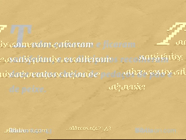 Todos comeram e ficaram satisfeitos, e os discípulos recolheram doze cestos cheios de pedaços de pão e de peixe. -- Marcos 6:42-43