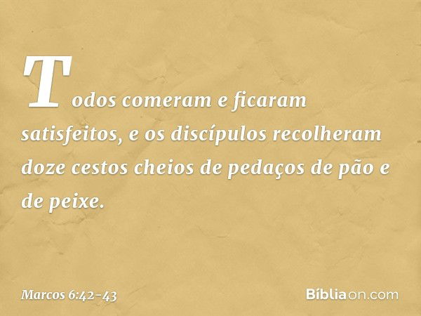 Todos comeram e ficaram satisfeitos, e os discípulos recolheram doze cestos cheios de pedaços de pão e de peixe. -- Marcos 6:42-43