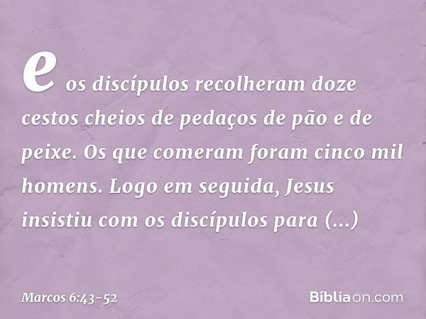 e os discípulos recolheram doze cestos cheios de pedaços de pão e de peixe. Os que comeram foram cinco mil homens. Logo em seguida, Jesus insistiu com os discíp