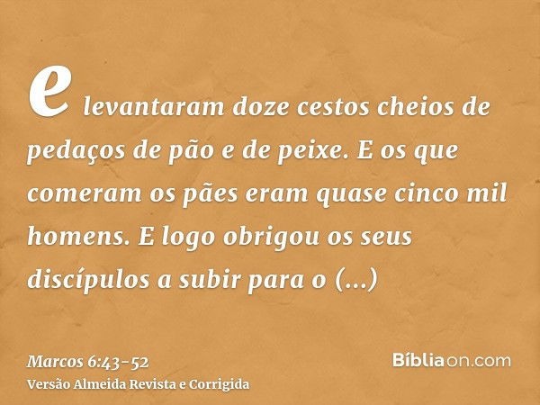 e levantaram doze cestos cheios de pedaços de pão e de peixe.E os que comeram os pães eram quase cinco mil homens.E logo obrigou os seus discípulos a subir para