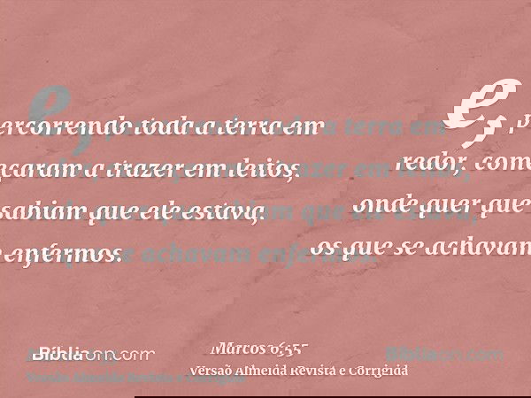 e, percorrendo toda a terra em redor, começaram a trazer em leitos, onde quer que sabiam que ele estava, os que se achavam enfermos.
