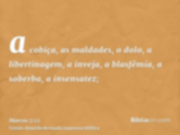 a cobiça, as maldades, o dolo, a libertinagem, a inveja, a blasfêmia, a soberba, a insensatez;