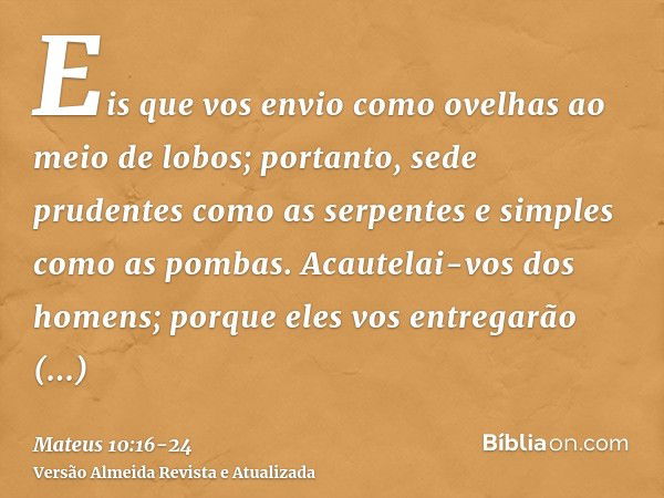 Eis que vos envio como ovelhas ao meio de lobos; portanto, sede prudentes como as serpentes e simples como as pombas.Acautelai-vos dos homens; porque eles vos e