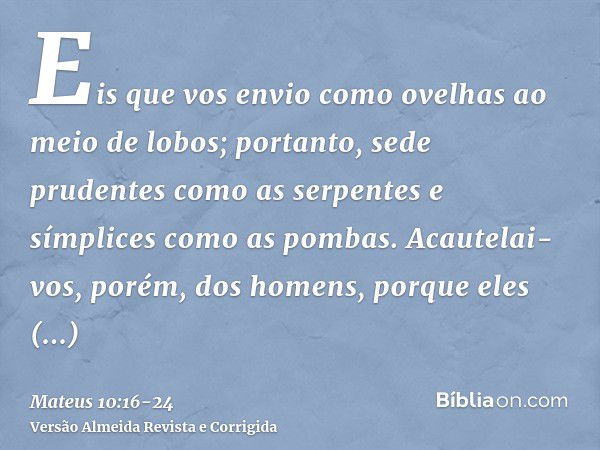 Eis que vos envio como ovelhas ao meio de lobos; portanto, sede prudentes como as serpentes e símplices como as pombas.Acautelai-vos, porém, dos homens, porque 