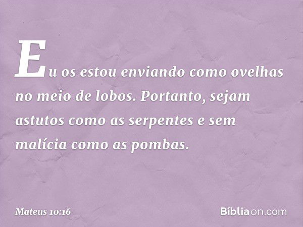 Eu os estou enviando como ovelhas no meio de lobos. Portanto, sejam astutos como as serpentes e sem malícia como as pombas. -- Mateus 10:16