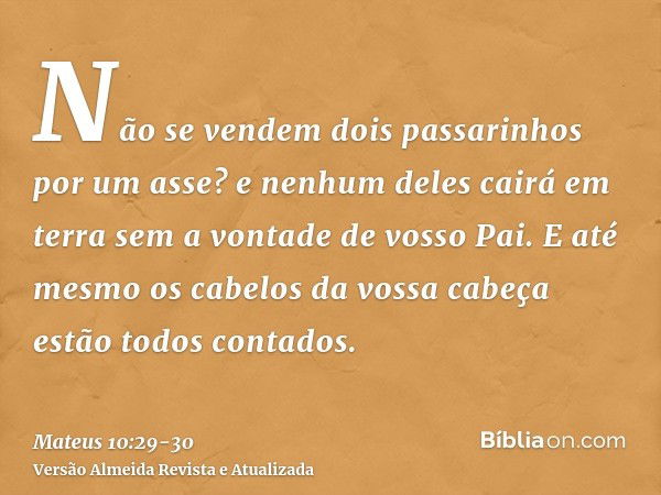 Não se vendem dois passarinhos por um asse? e nenhum deles cairá em terra sem a vontade de vosso Pai.E até mesmo os cabelos da vossa cabeça estão todos contados