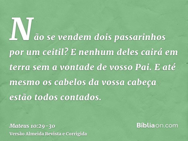 Não se vendem dois passarinhos por um ceitil? E nenhum deles cairá em terra sem a vontade de vosso Pai.E até mesmo os cabelos da vossa cabeça estão todos contad