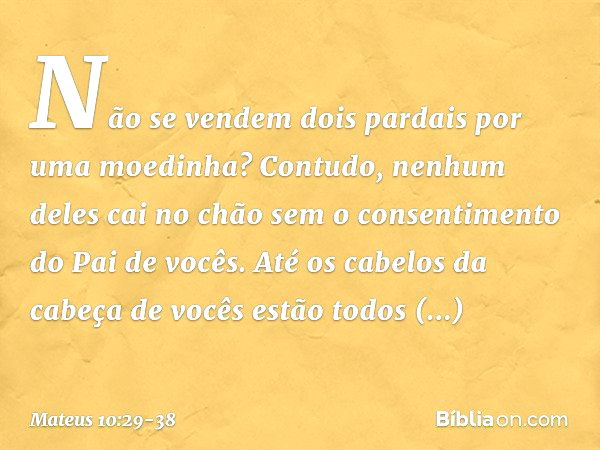 Não se vendem dois pardais por uma moedinha? Contudo, nenhum deles cai no chão sem o consentimento do Pai de vocês. Até os cabelos da cabeça de vocês estão todo