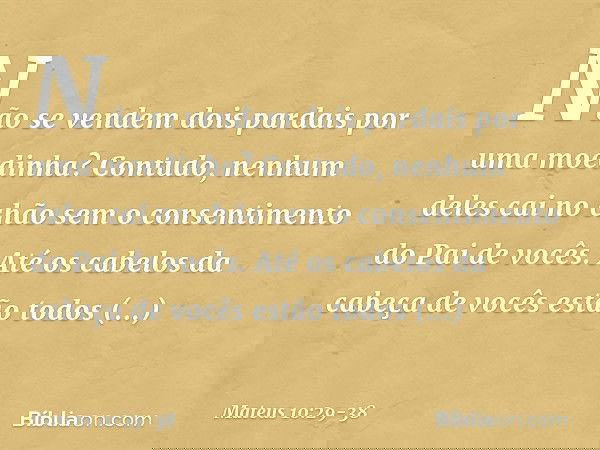 Não se vendem dois pardais por uma moedinha? Contudo, nenhum deles cai no chão sem o consentimento do Pai de vocês. Até os cabelos da cabeça de vocês estão todo