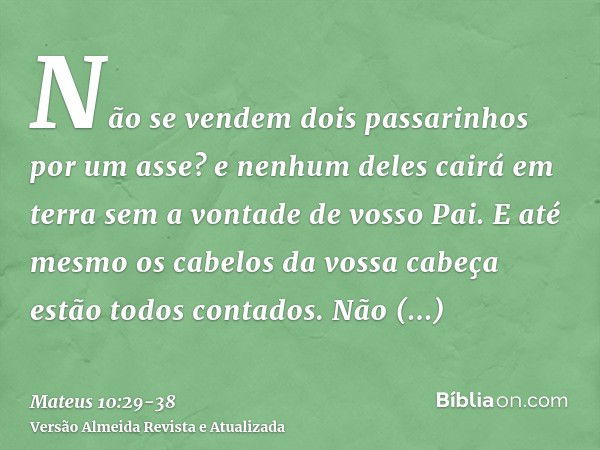 Não se vendem dois passarinhos por um asse? e nenhum deles cairá em terra sem a vontade de vosso Pai.E até mesmo os cabelos da vossa cabeça estão todos contados